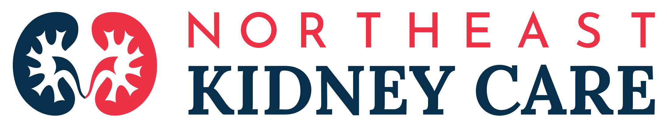 Image of Northeast Kidney Care Logo